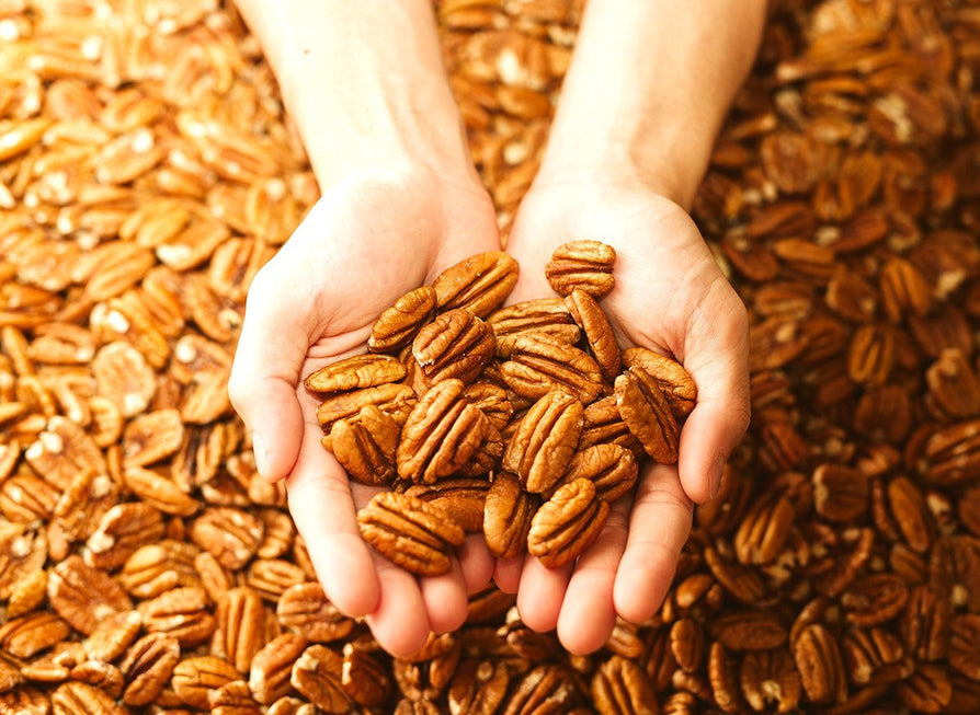 Pecans May Help Protect Us from Cancer