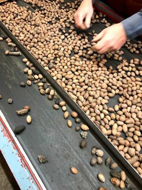 Texas Pecan Business Meeting