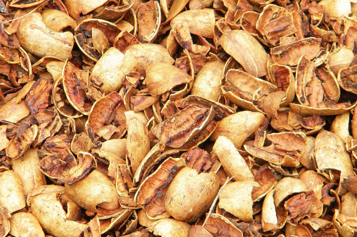What Happens To All The Pecan Shells? FAQ