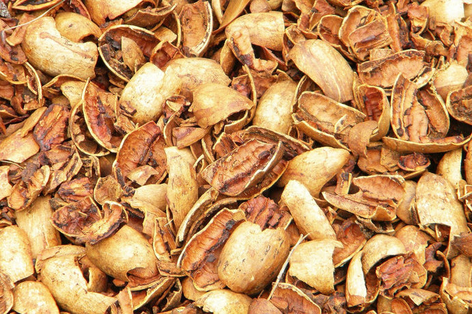 What Happens To All The Pecan Shells?   FAQ