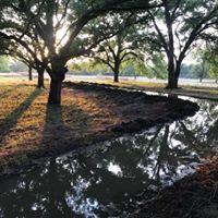 Irrigation System for Pecan Trees