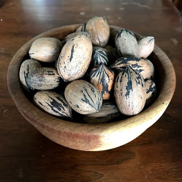 A Choice of Pecan Varieties for the West Cross Timbers Area of Texas 1958