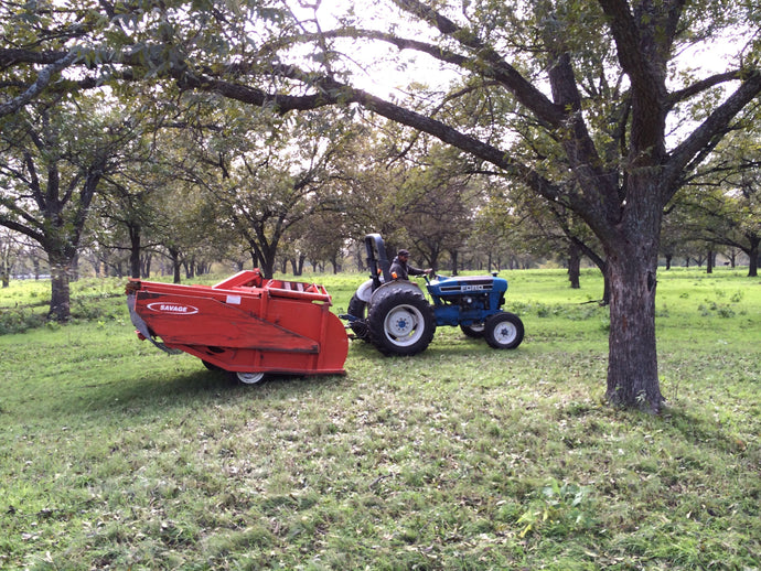 April Is National Pecan Month