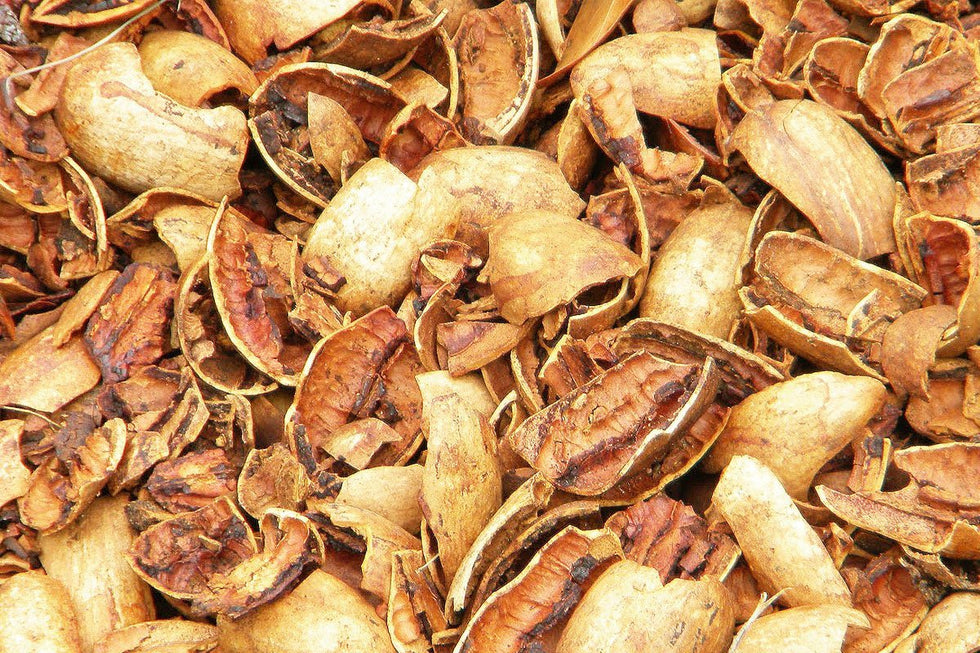 Are pecan shells poisonous