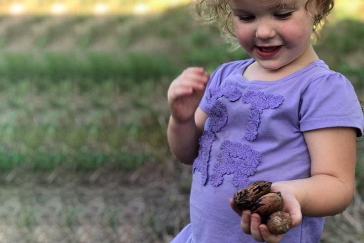 Are Pecans as Healthy as Walnuts