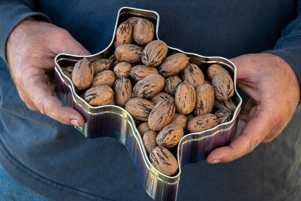 Are Pecans Native To Texas?