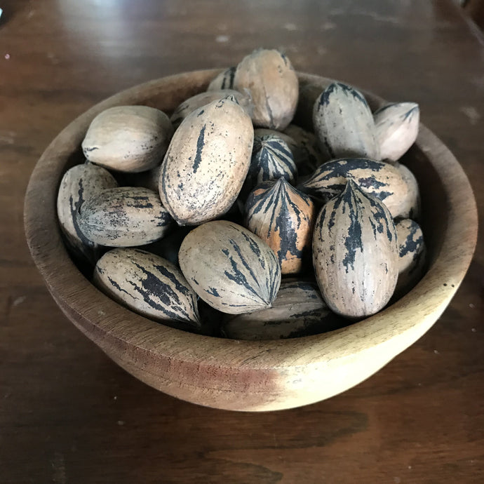 Nutrients Abound: The Main Benefits of Pecans