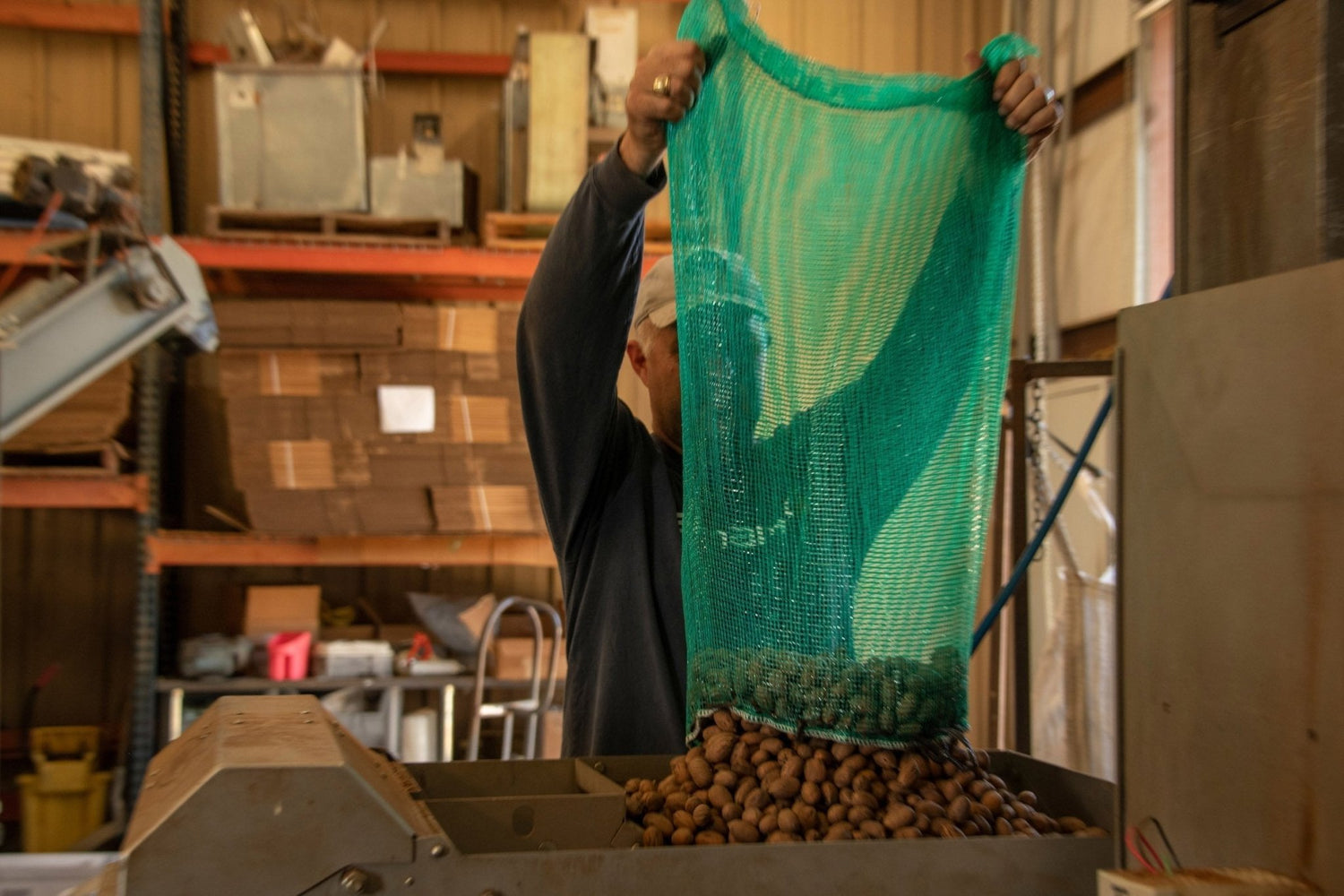 Do Pecans need to dry before shelling