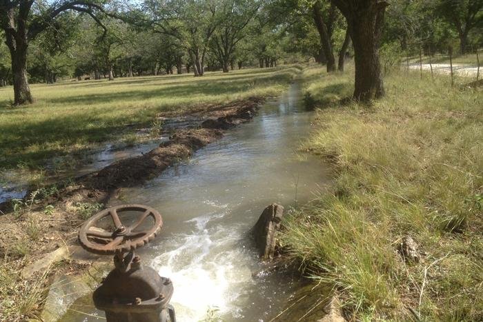 Irrigating pecans for healthy pecan trees