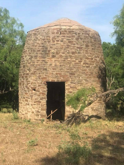 Millican Pecan Bat House Insect Research