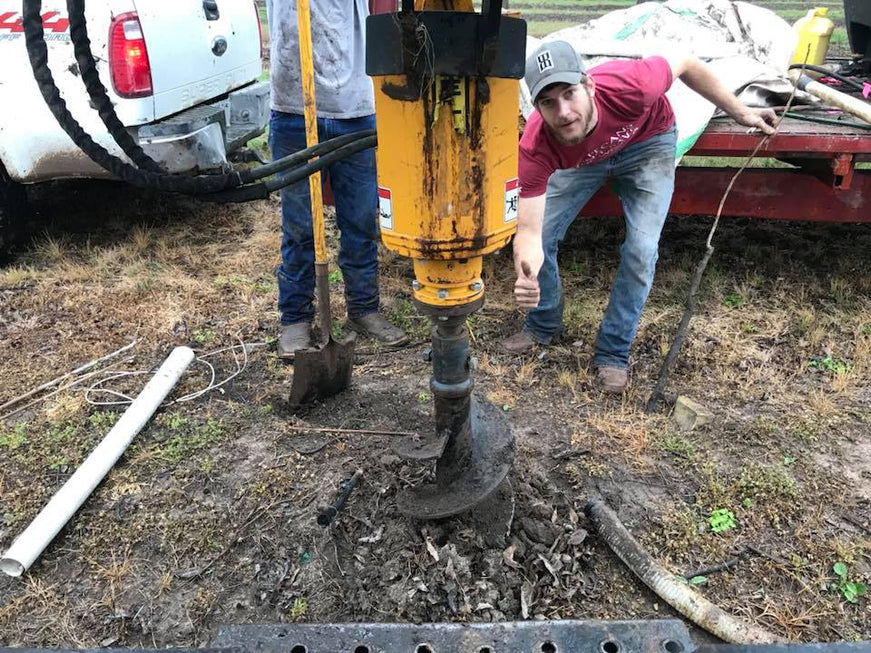 nursery pecan trees for planting orchards