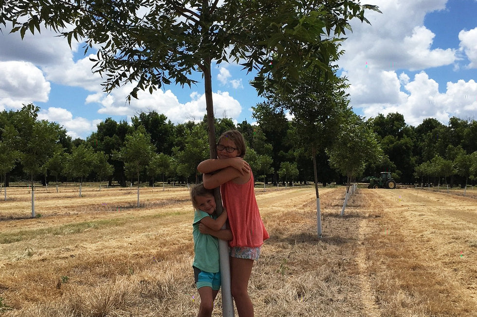 Planting trees Millican sisters in the pecan orchard