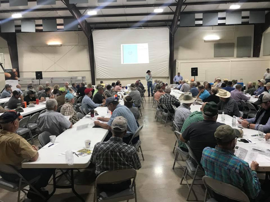 Texas pecan improvement association