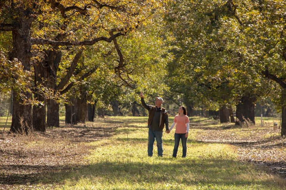the Millicans checking varieties of pecans