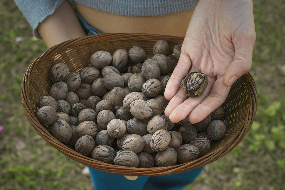 Are Pecans Gluten-Free?  FAQ