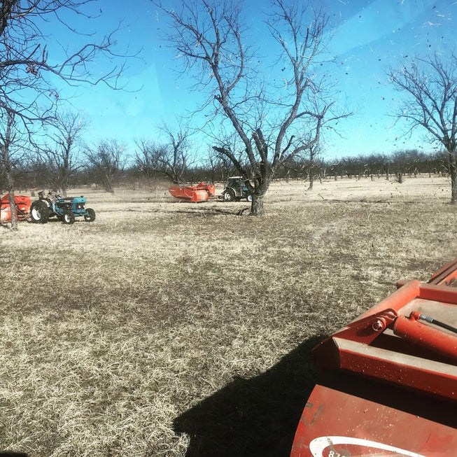 pecan harvesting equipment