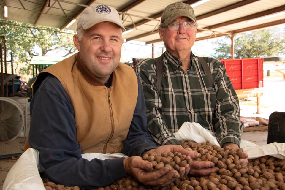 pecan grower farmer winston millican