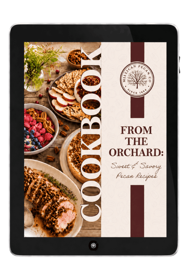 E-Book Cover