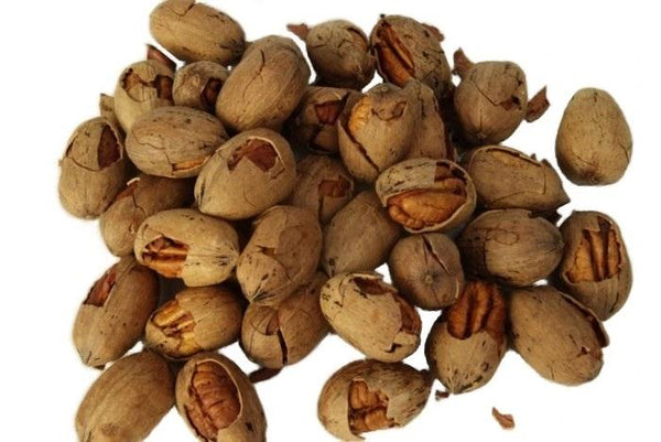 Cracked Pecans for Sale In the Shell Millican Pecan