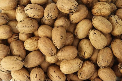INSHELL Pecan Nuts For Sale | Whole Raw In Shell Pecans